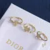 Dior Neckties #B66969
