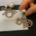 Dior Tribales Gradient Logo Earrings #B49970