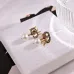 Dior Tribales Gradient Logo Earrings #B49971
