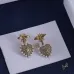 Dior earrings #B66974
