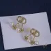 Dior earrings #B66981