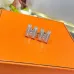 HERMES Earrings #B65542