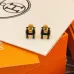 HERMES Earrings #B65545