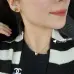 HERMES Earrings #B65545