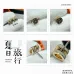 HERMES Earrings #B65548
