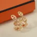 HERMES Earrings #B65557