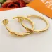 Hermes earrings Jewelry #B65294