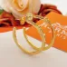 Hermes earrings Jewelry #B65294