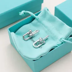 Tiffany Designer Style earrings  and  original box #B65170