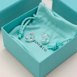 Tiffany Designer Style earrings  and  original box #B65176