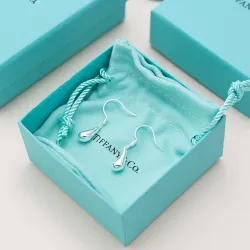 Tiffany Designer Style earrings  and  original box #B65185