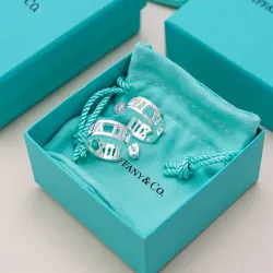 Tiffany Designer Style earrings  and  original box #B65186