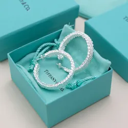 Tiffany Designer Style earrings  and  original box #B65187