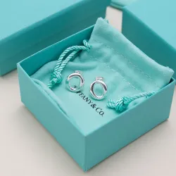 Tiffany Designer Style earrings  and  original box #B65190