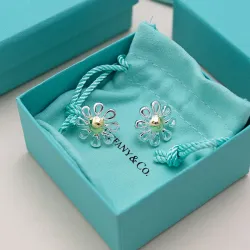 Tiffany Designer Style earrings  and  original box #B65195