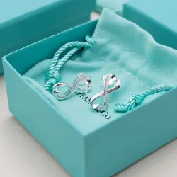 Tiffany Designer Style earrings  and  original box #B65196