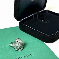 Tiffany Rings & earrings #B65316