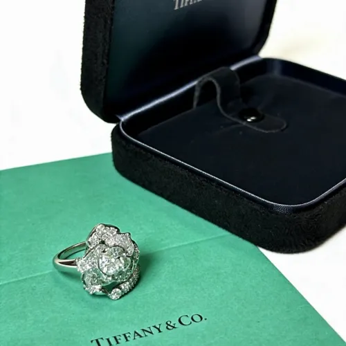 Tiffany Rings & earrings #B65316