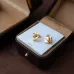Versace earrings Jewelry #B39048