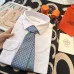 Hermes Neckties #B52425