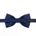 Louis Vuitton Necktie and original box #B66479