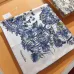 Dior Scarf #B34033