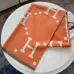 HERMES Scarf #99911379