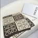 LOEWE Cashmere Knitwear Scarf #A68020