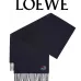 LOEWE Wool and cashmere Scarf #A68016