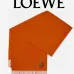 LOEWE cashmere Scarf #A68017