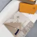 Louis Vuitton Scarf #A68925