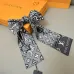 Louis Vuitton Scarf Small scarf decorate the bag scarf strap #B48440