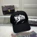 Dior Hats #B34259