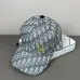 Dior Hats #B52287
