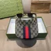 Gucci AAA+ hats & caps #B48014