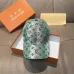 Louis Vuitton AAA+ hats & caps #B62805