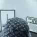 Louis Vuitton AAA+ hats & caps #B64708