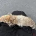 Canada Goose Down Jackets #A68963