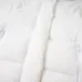 Canada Goose Hooded Down Jacket Lightweight Quilted Design with Contrast Accents Luxury Winter Insulated Outerwear for Men/Women #B59299