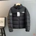 The North Face 1992 Retro Stand Collar Puffer Down Jacket Unisex #A68983