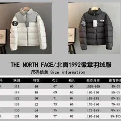 The North Face 1992 Retro Stand Collar Puffer Down Jacket Unisex #A68983