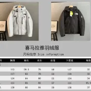 The North Face Retro Himalayan Mountain Parka Down Jacket Unisex #A68982