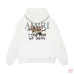 Amiri Sparrow Bird Graphic Pullover Hoodie Multi-color Options #A69072
