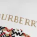Burberry Hoodies for Men #A69102