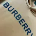 Burberry Hoodies for Men #B58508