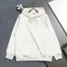 Dior Classic CD Logo Embroidered 420g Heavyweight Hoodie, White Brown Grey Pink Black #A69019