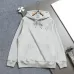 Dior Classic CD Logo Embroidered 420g Heavyweight Hoodie, White Brown Grey Pink Black #A69019
