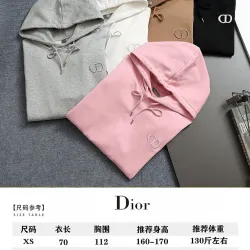 Dior Classic CD Logo Embroidered 420g Heavyweight Hoodie, White Brown Grey Pink Black #A69019