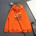Loewe Classic Anagram Logo Embroidered Hoodie, Orange Sage Cream Black #A69015