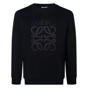 Loewe Hoodies #B56468